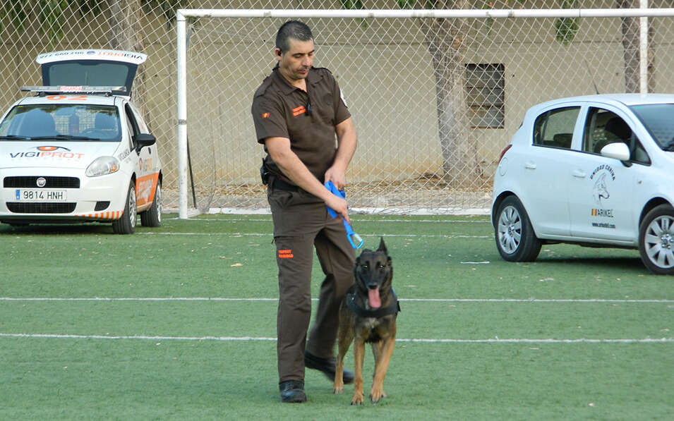 Exhibición canina con perros de seguridad en Fegado 2019